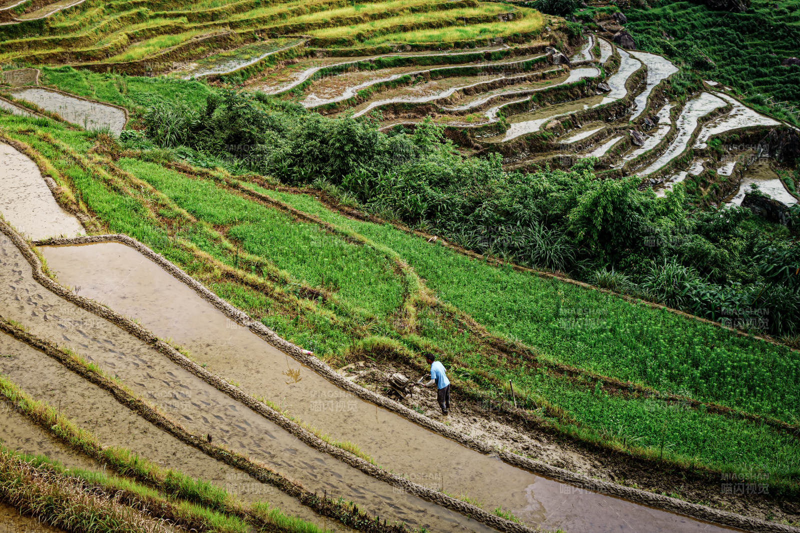 桂林龙脊梯田青山绿水间图片