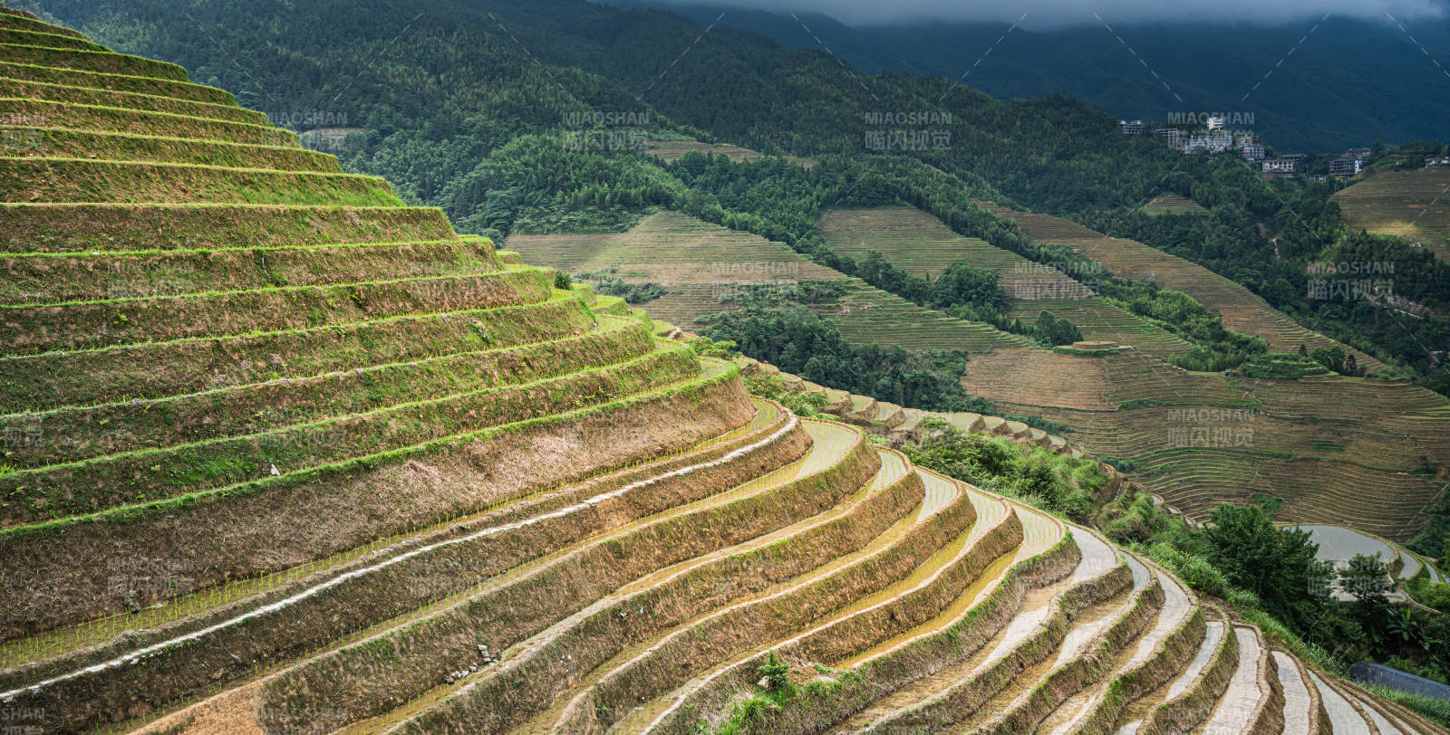 梯田风光 层叠如画--桂林龙脊梯田图片