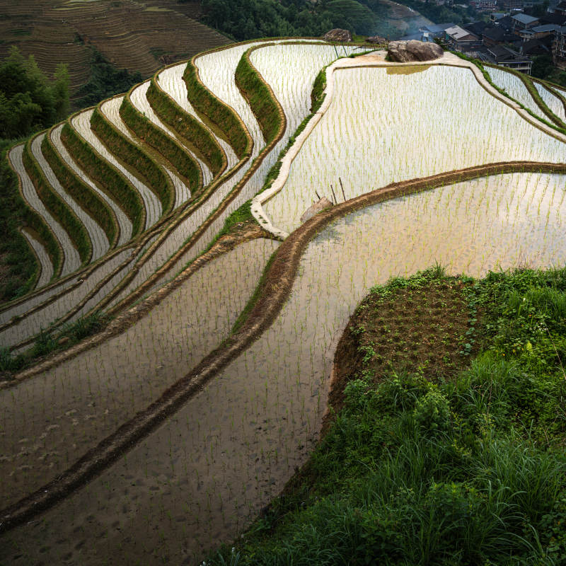 梯田水镜映青山-桂林龙脊梯田图片