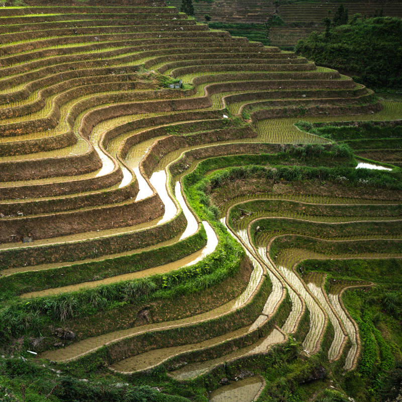桂林龙脊梯田图片
