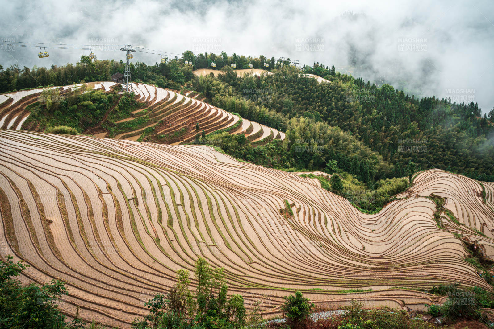 梯田云雾缭绕 -桂林龙脊梯田图片