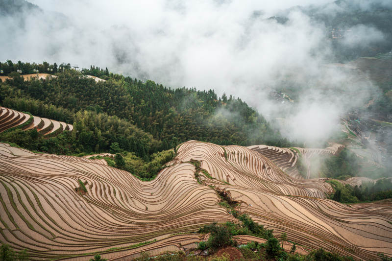 云雾缭绕的梯田风光--桂林龙脊梯田图片