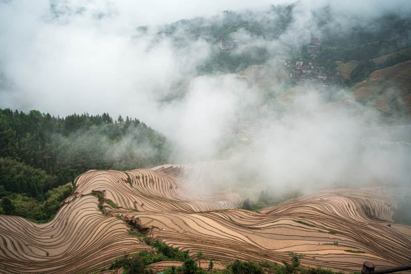 云雾缭绕的梯田风光-桂林龙脊梯田图片