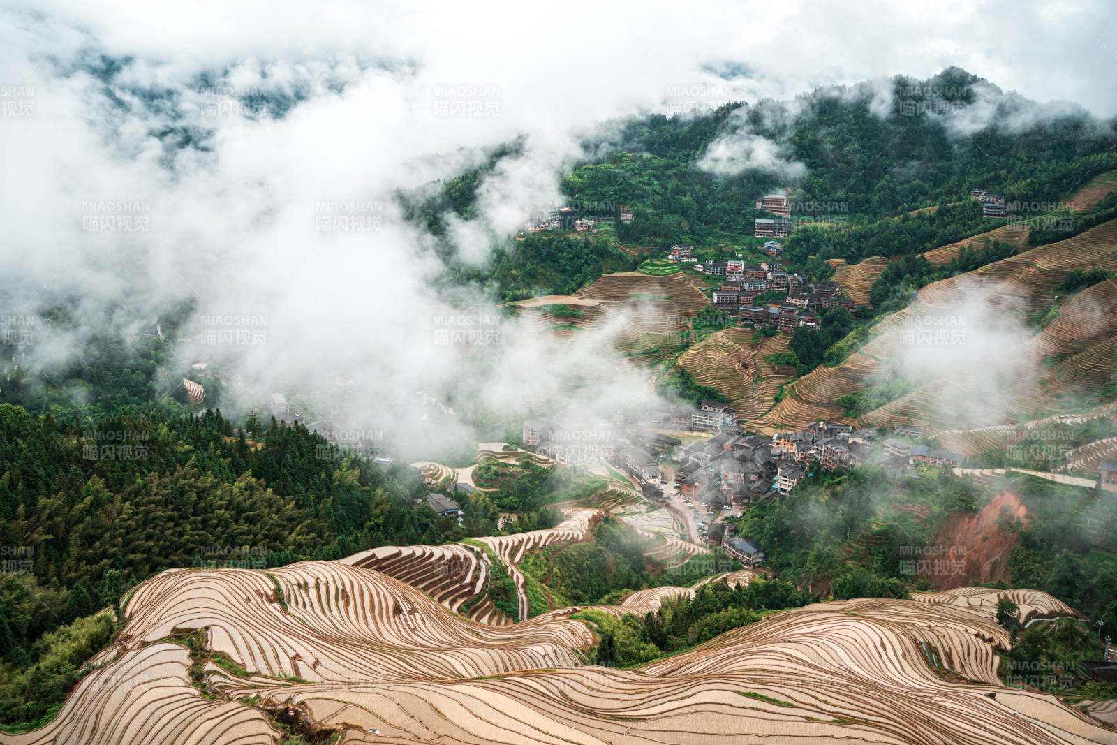 云雾缭绕的梯田风光--桂林龙脊梯田图片