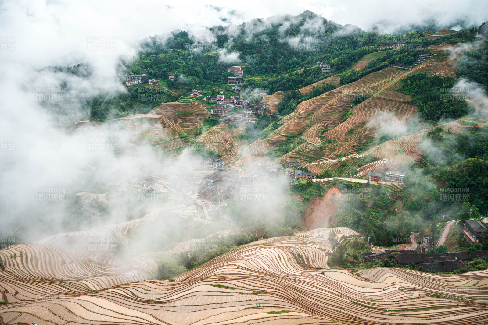 云雾缭绕的梯田风光-桂林龙脊梯田图片