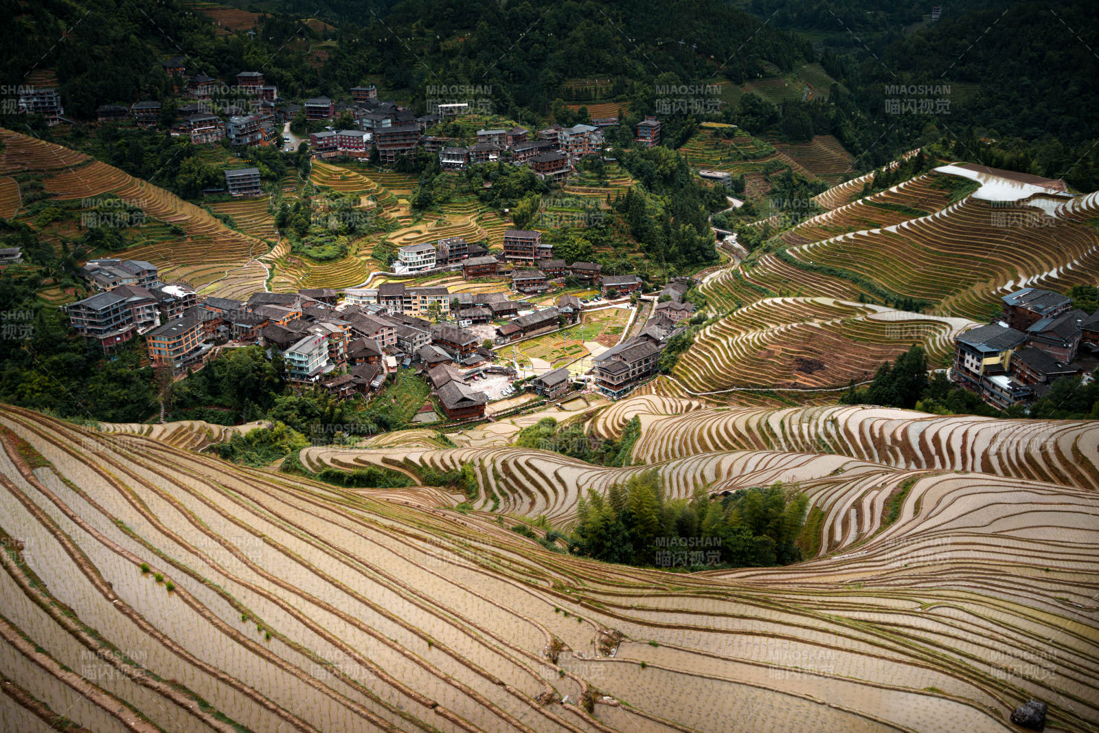 梯田环绕的山村风光--桂林龙脊梯田图片