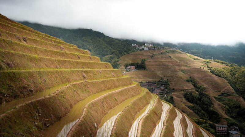 梯田云雾缭绕 山间美景-桂林龙脊梯田图片