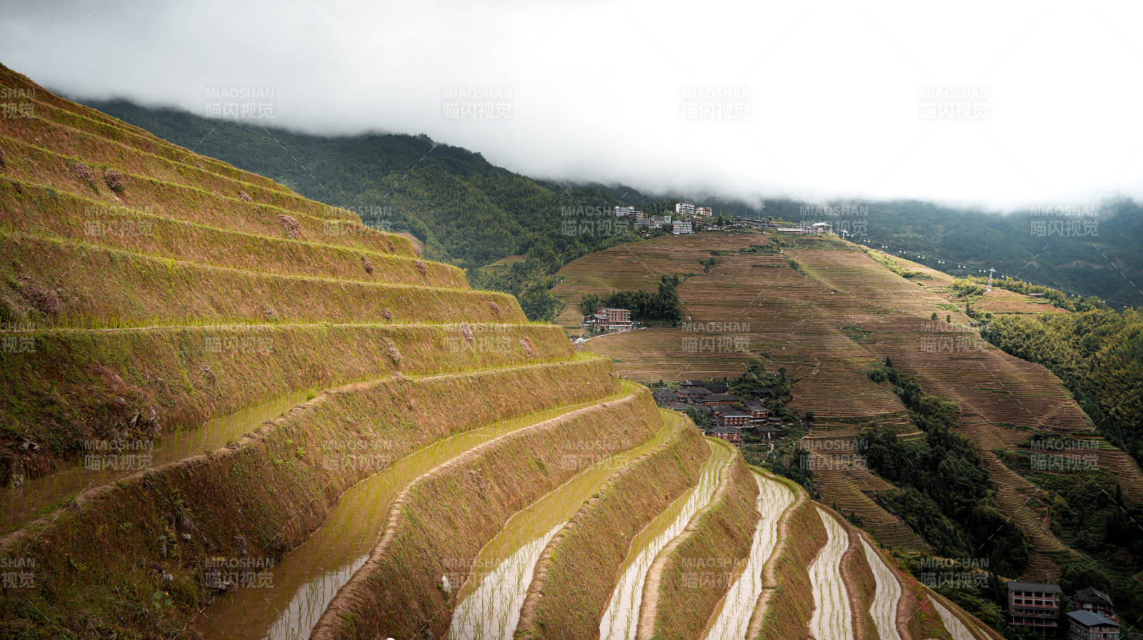 梯田云雾缭绕 山间美景-桂林龙脊梯田图片