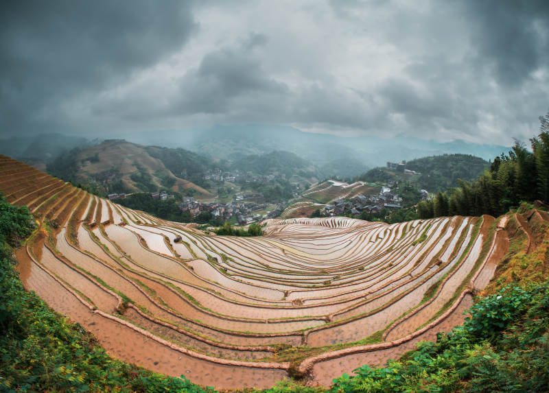 云雾缭绕的梯田风光-桂林龙脊梯田图片