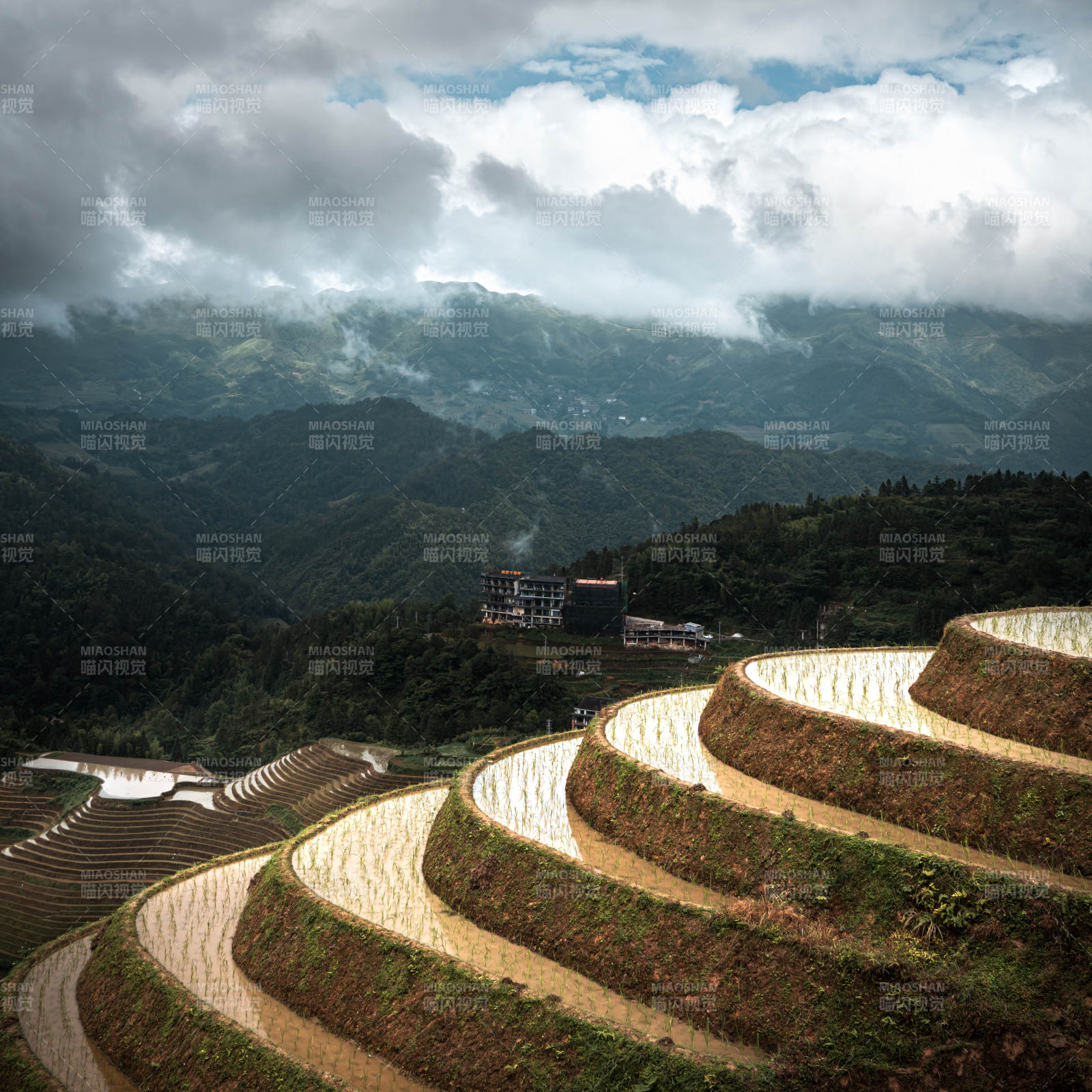 云雾缭绕的梯田风光-桂林龙脊梯田图片
