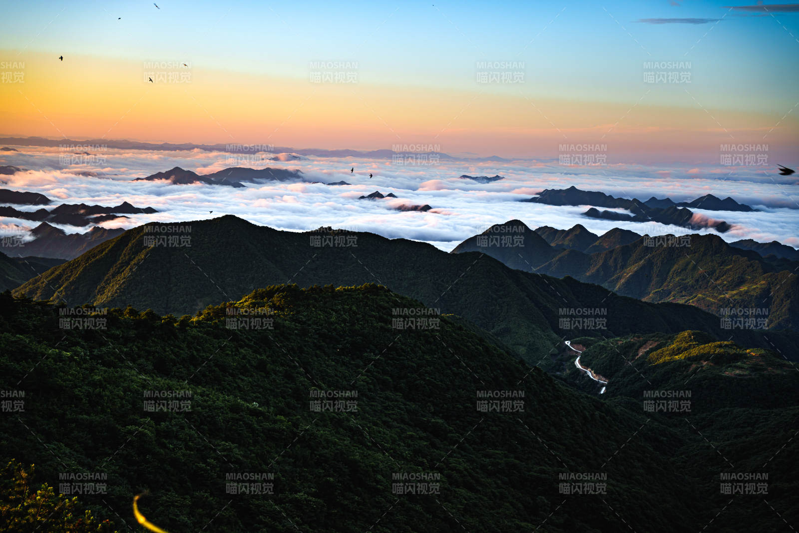 云海山峦 日出辉煌--临安牵牛岗图片