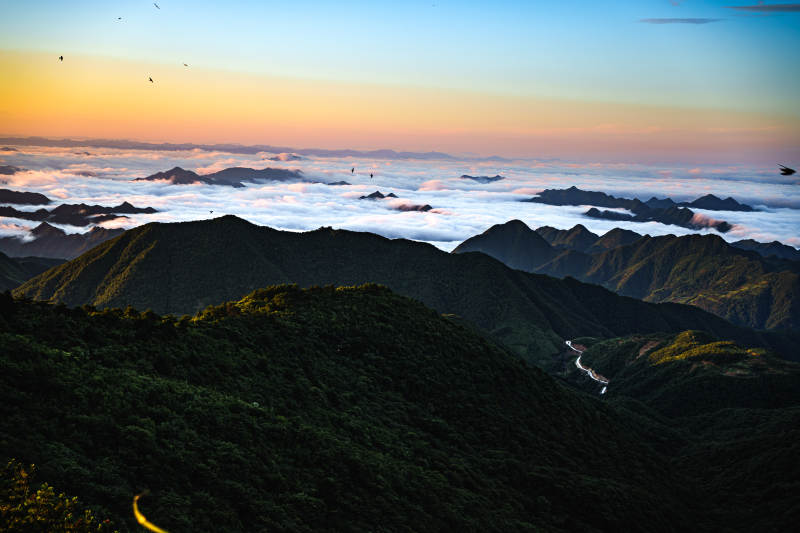 云海山峦 日出辉煌--临安牵牛岗图片