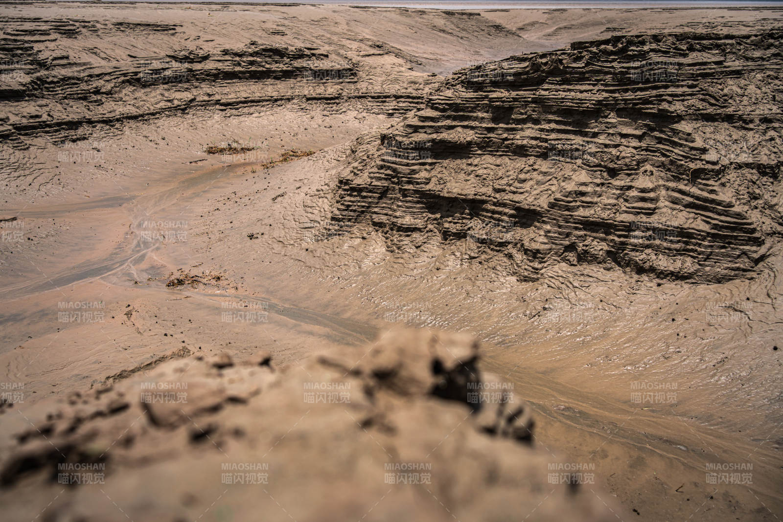 江边的泥岩地貌-钱塘江图片