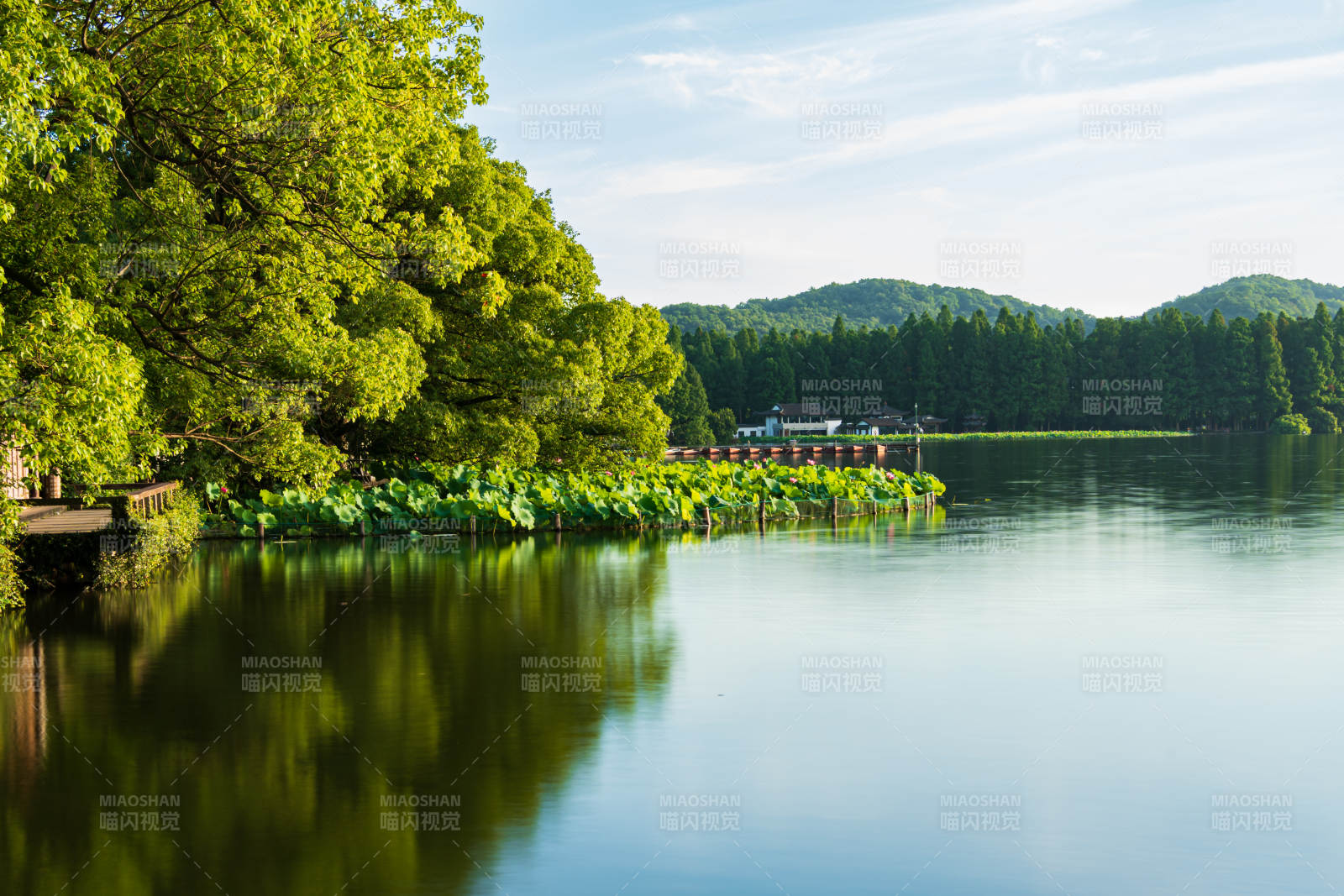 湖畔绿树倒影如画-杭州西湖图片