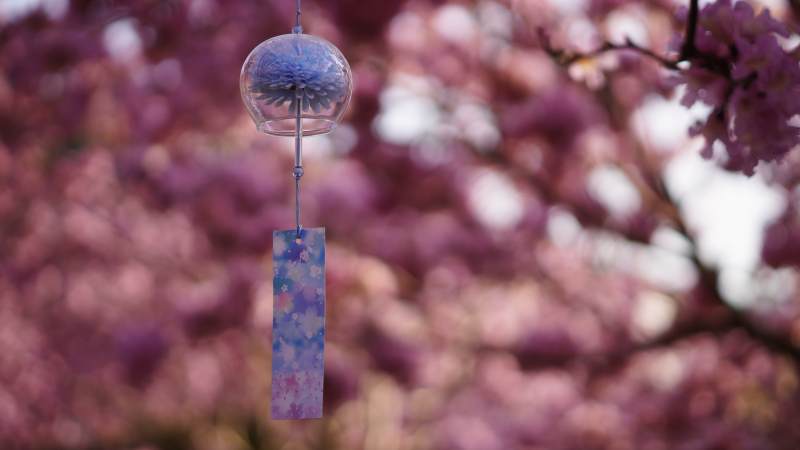 风铃与樱花的浪漫邂逅图片