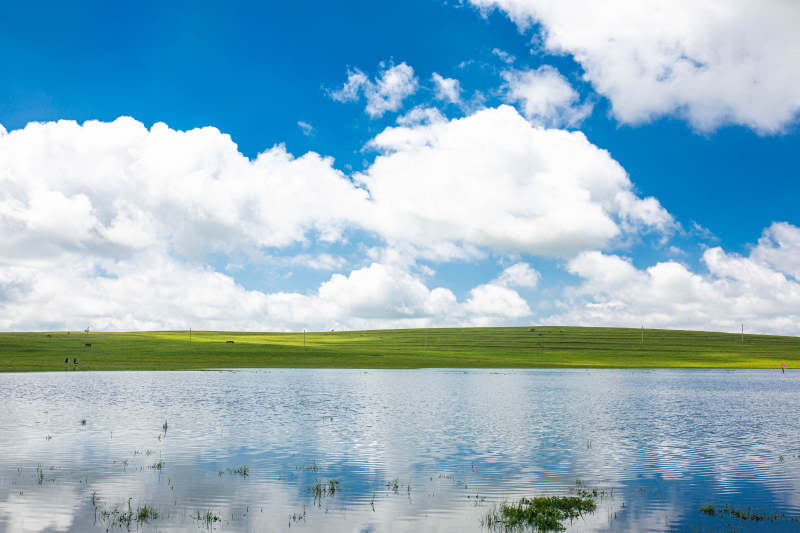 辉腾锡勒草原图片