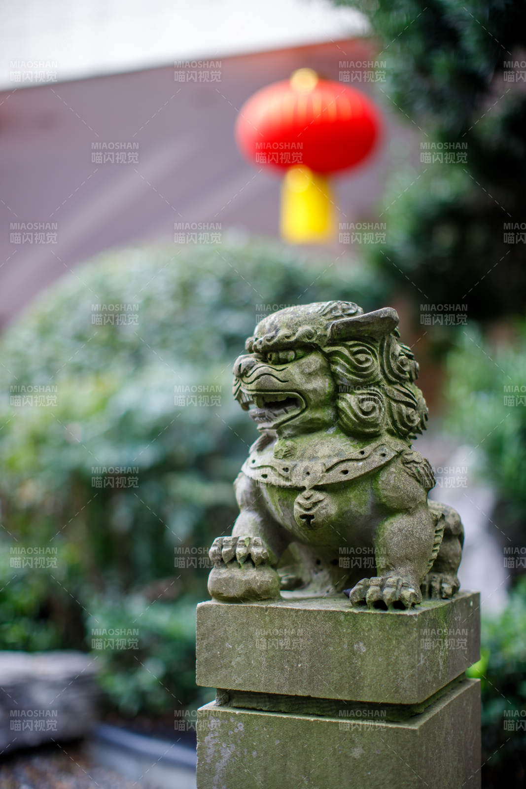 石狮与红灯笼的静谧场景图片