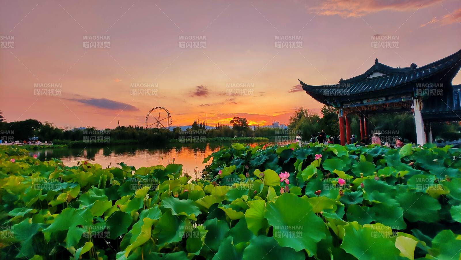 昆明大观公园古亭图片