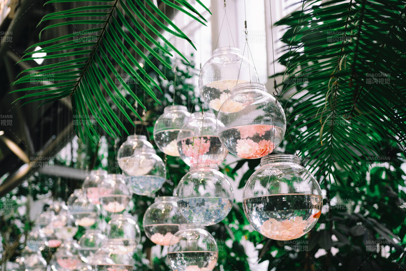 悬挂玻璃球与绿植装饰图片