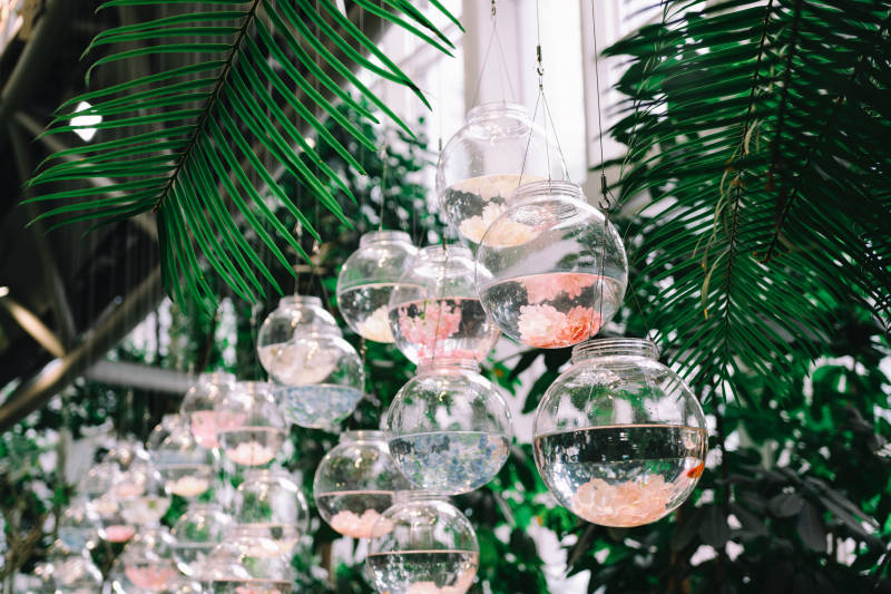 悬挂玻璃球与绿植装饰图片