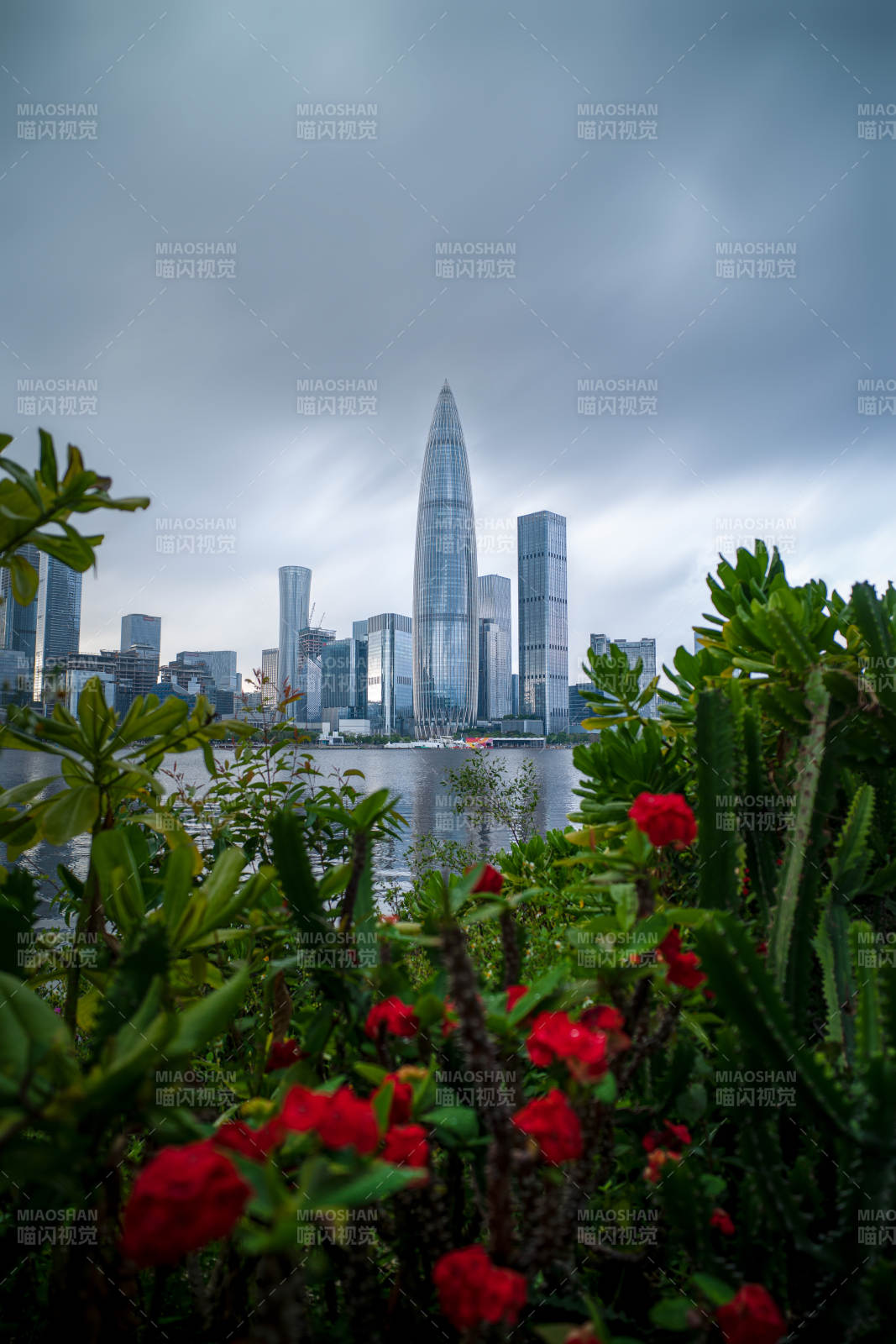 深圳城市天际线与花园美景图片