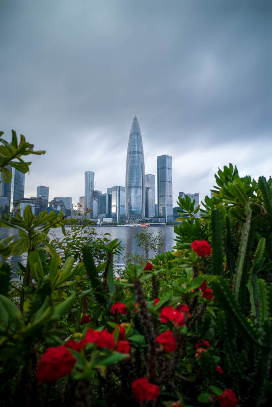 深圳城市天际线与花园美景图片