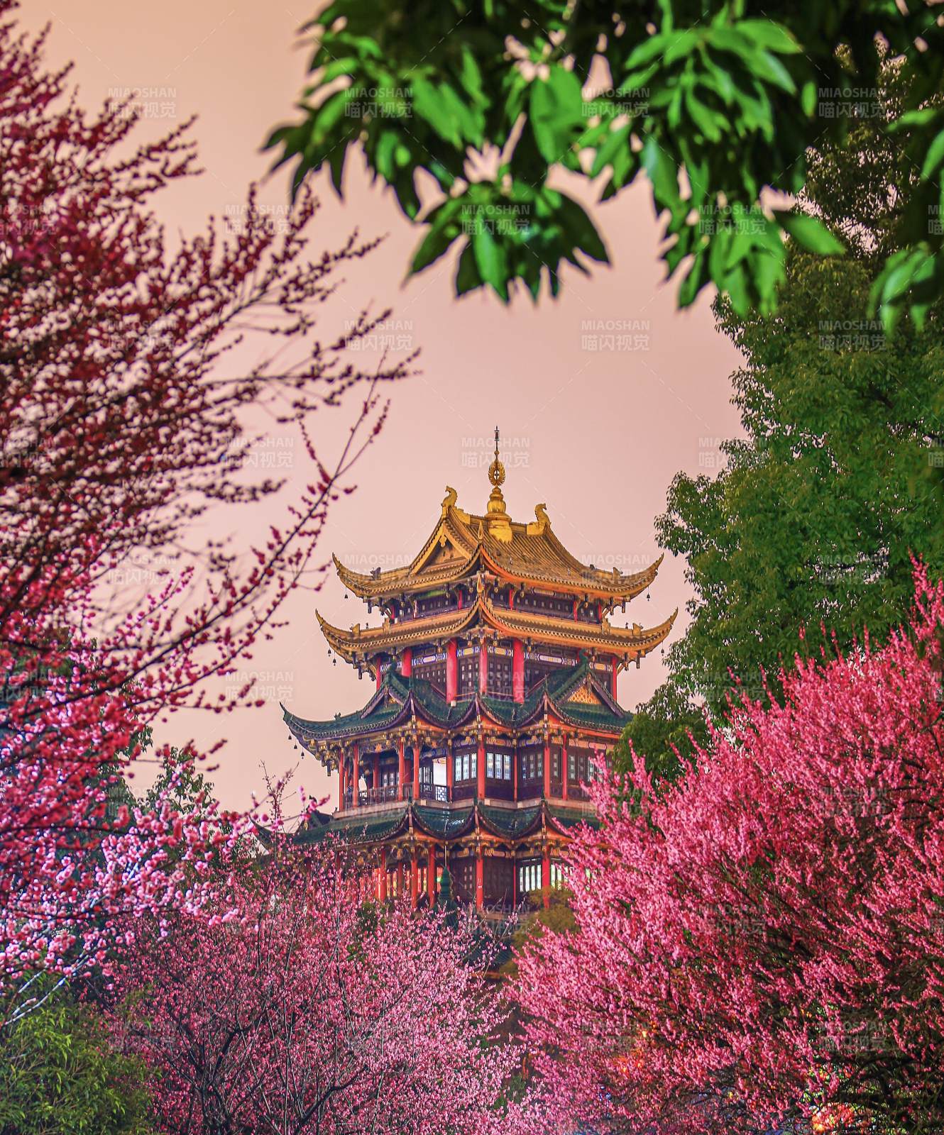 鸿恩寺春日古塔花海映衬图图片