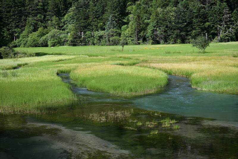 溪流蜿蜒穿行草地间九寨沟图片