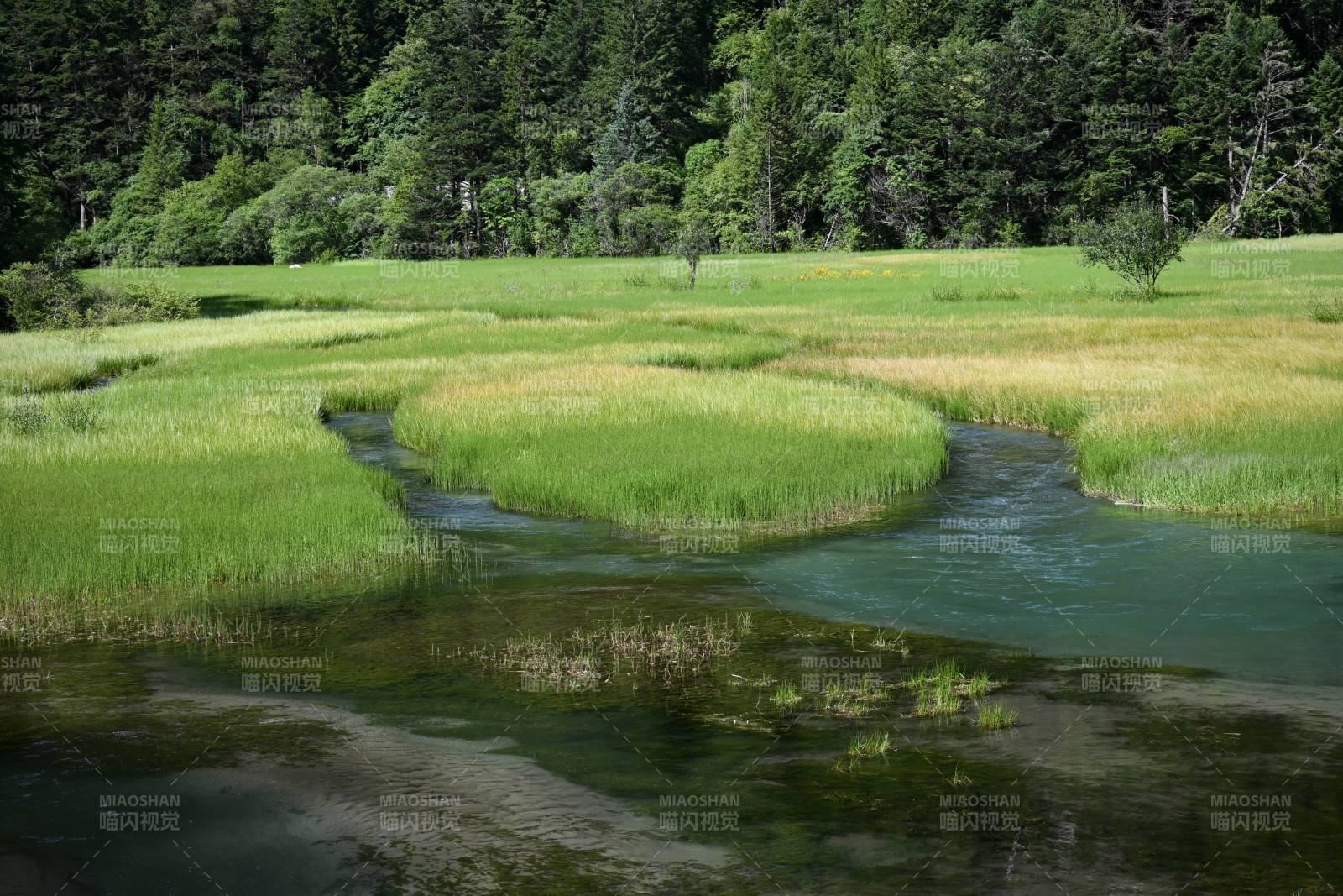 溪流蜿蜒穿行草地间九寨沟图片