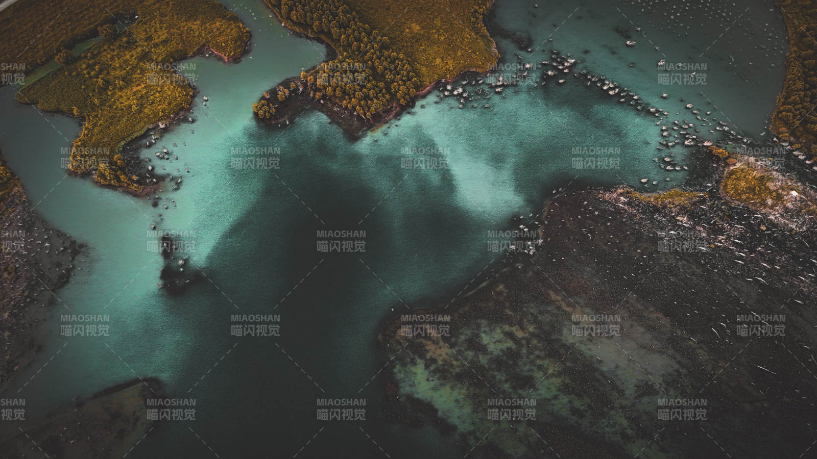 秋日湖畔的宁静美景图片