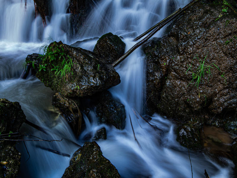 溪流潺潺 石间绿意图片