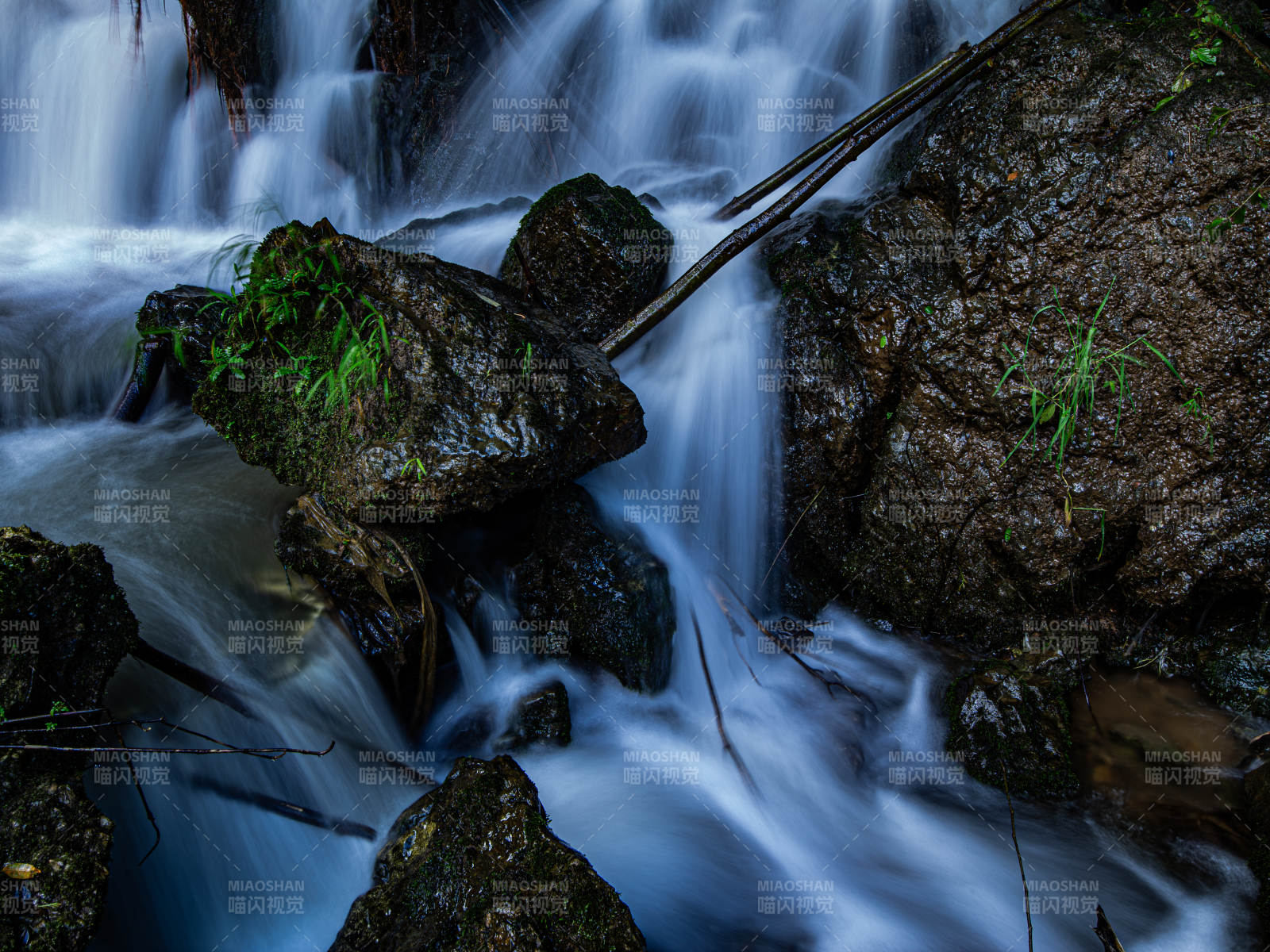 溪流潺潺 石间绿意图片