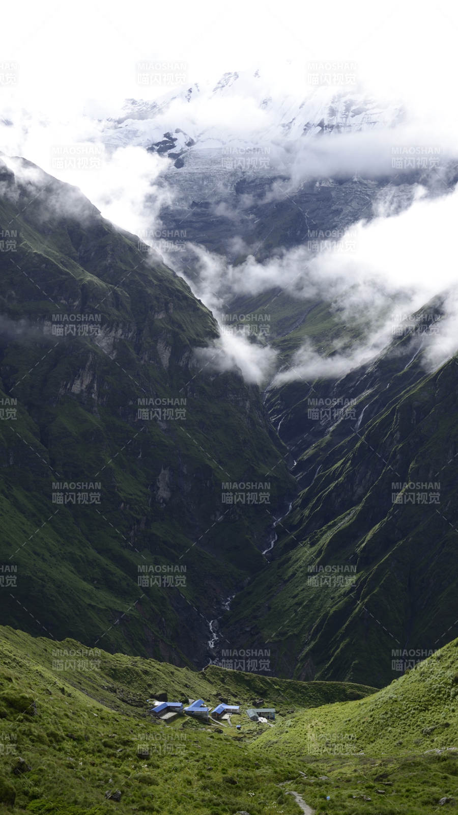 尼泊尔鱼尾峰山谷云雾缭绕 绿意盎然图片