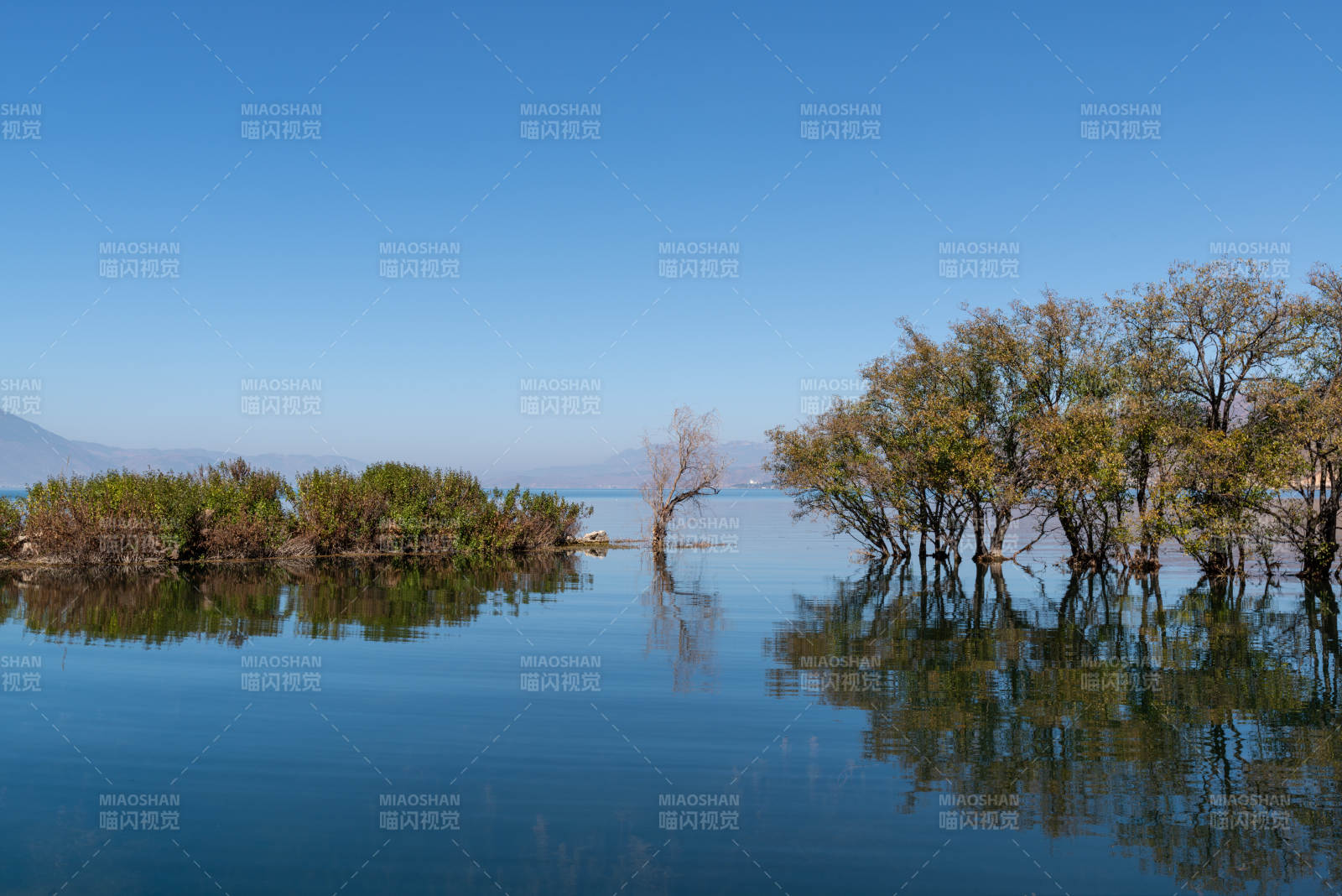 云南洱海湖畔静谧 树影倒映图片