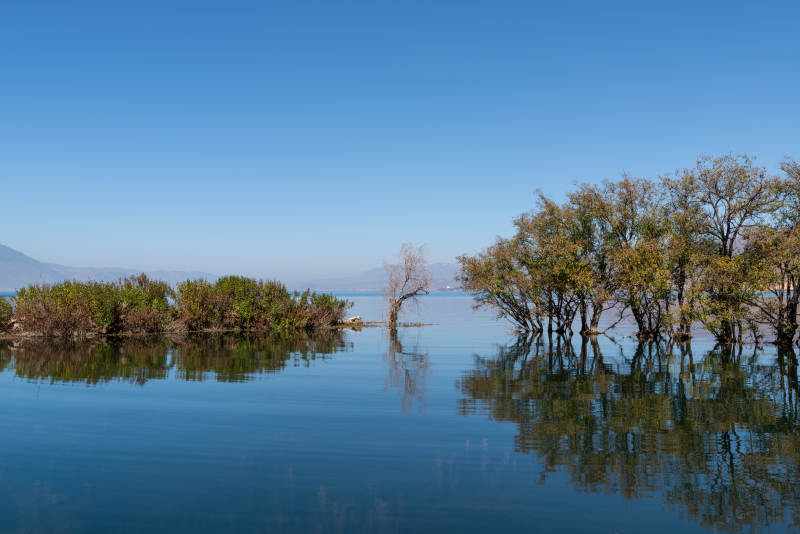 云南洱海湖畔静谧 树影倒映图片