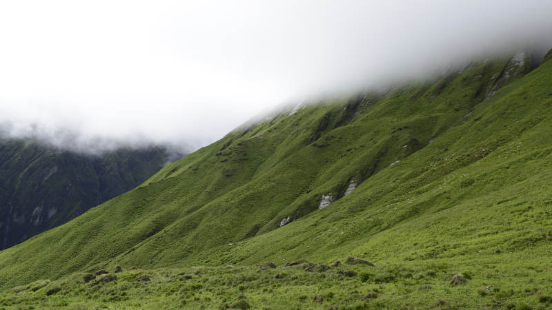 安纳普尔纳山下云雾缭绕的绿色山丘图片