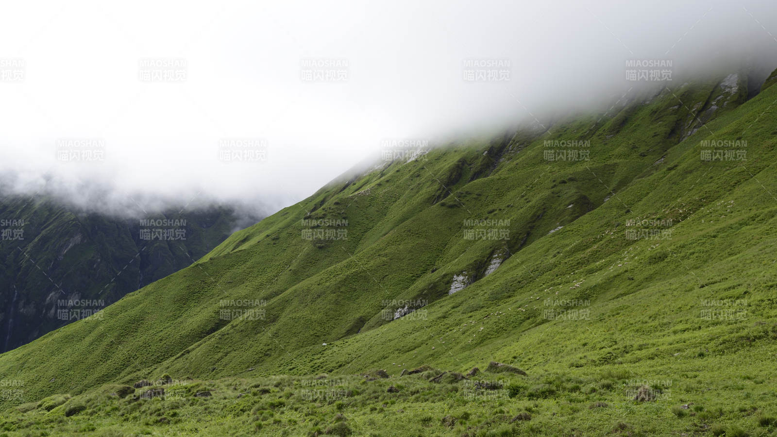 安纳普尔纳山下云雾缭绕的绿色山丘图片