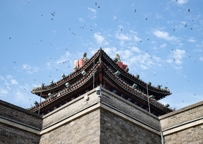 古塔飞鸟 蓝天映衬 山东省聊城市古城角楼图片