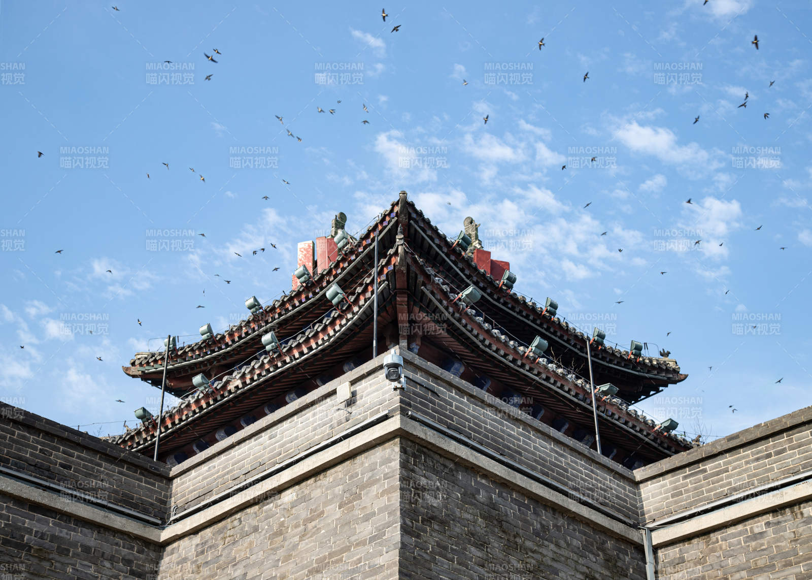 古塔飞鸟 蓝天映衬 山东省聊城市古城角楼图片