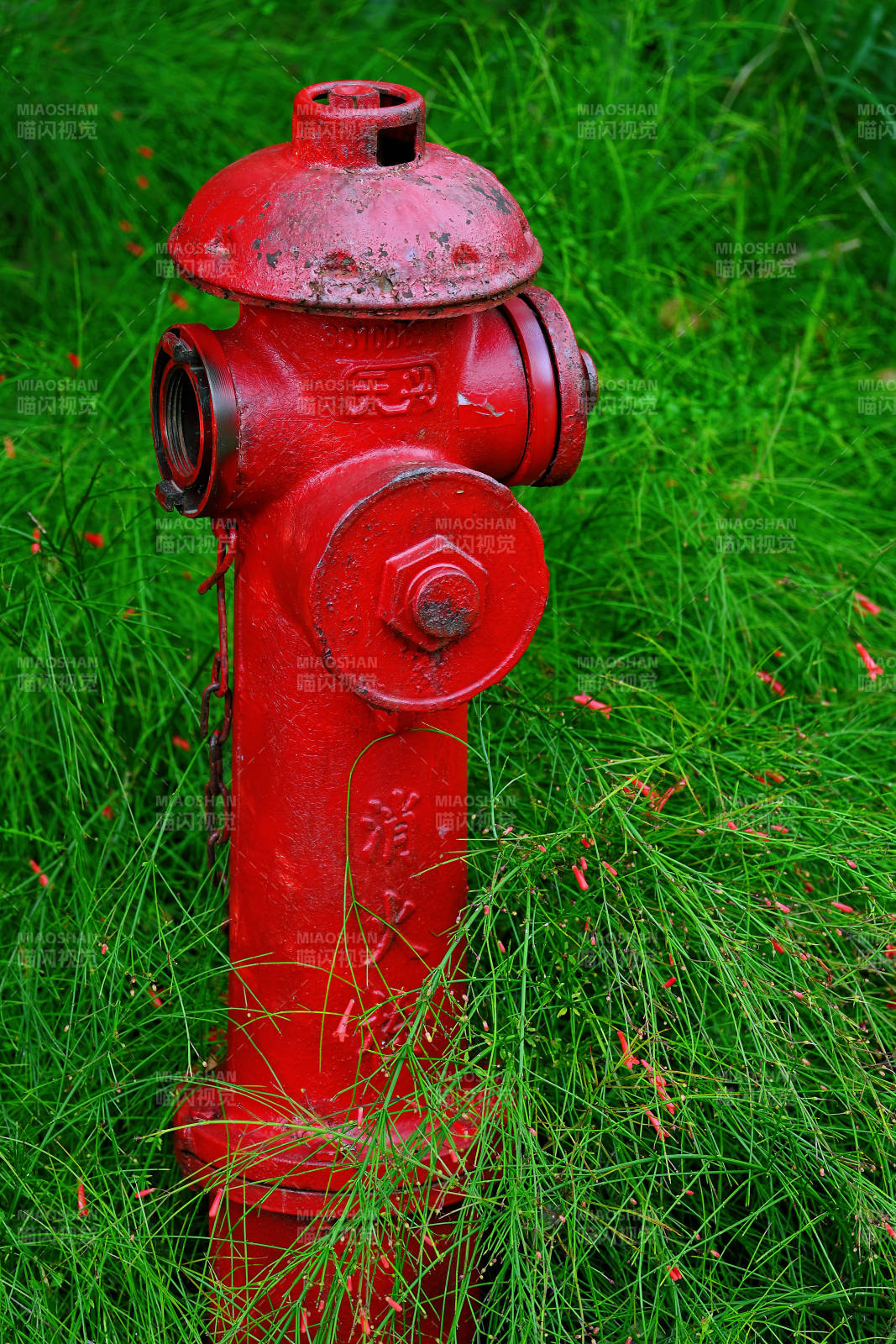 红色消防栓在绿草中图片