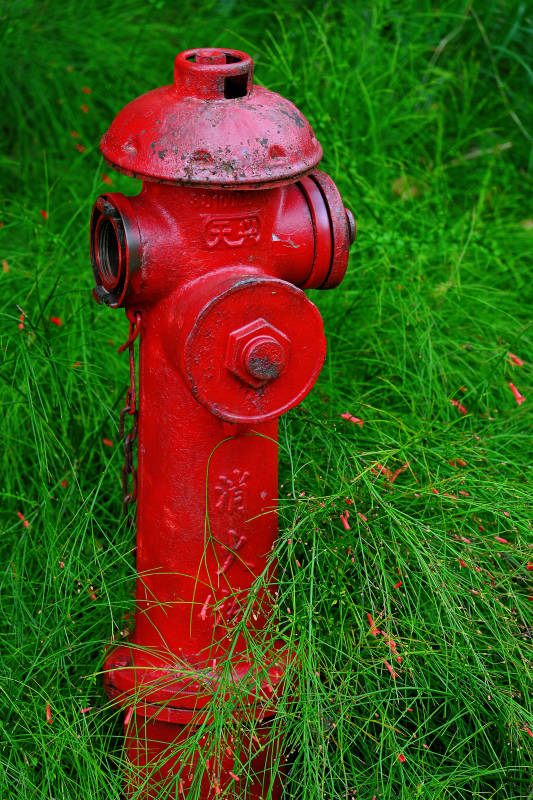红色消防栓在绿草中图片