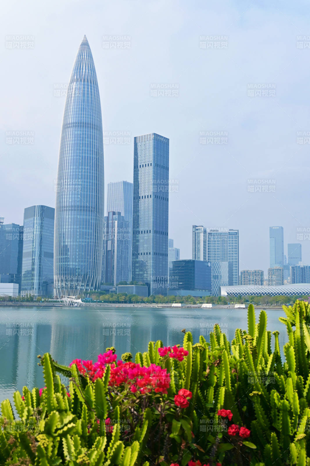 深圳湾畔现代都市风光图片