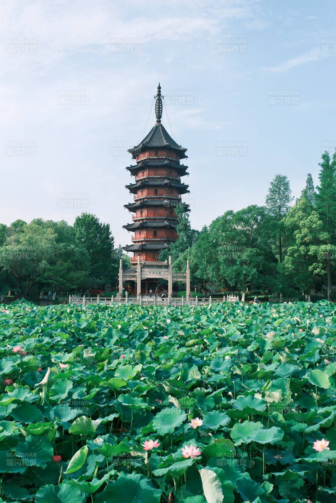 荷花池畔古塔映翠绿（湖州飞英塔）图片