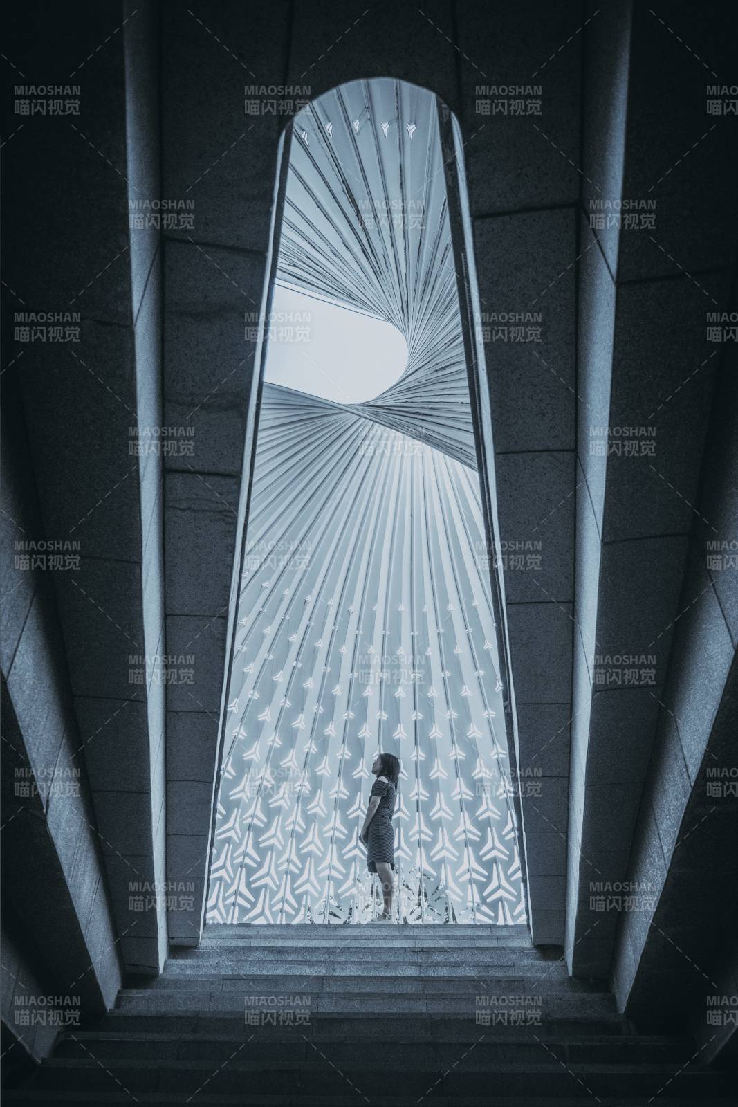 重庆光影螺图片