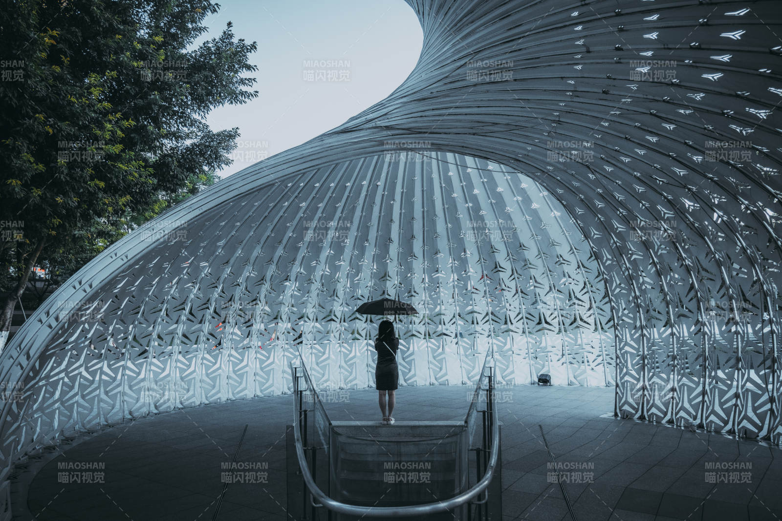 重庆光影螺图片