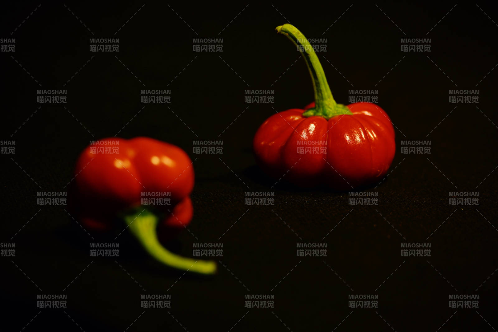 红色辣椒的静谧之美图片