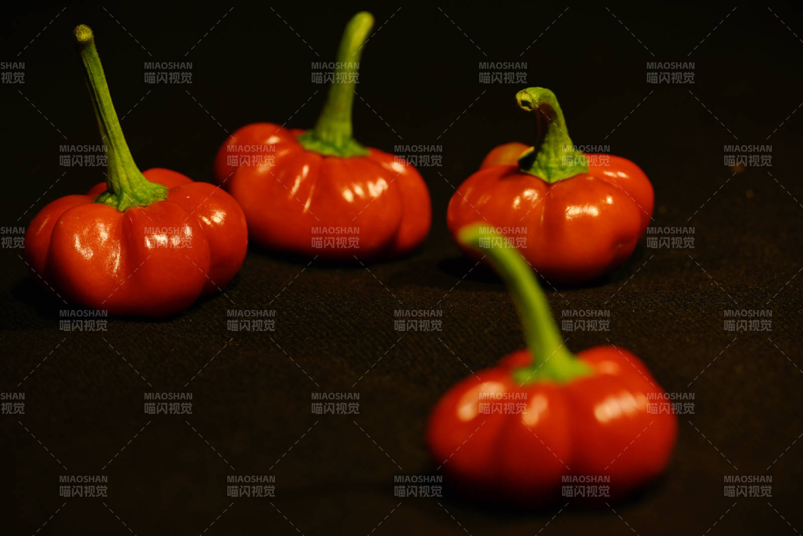 红色辣椒的静谧之美图片