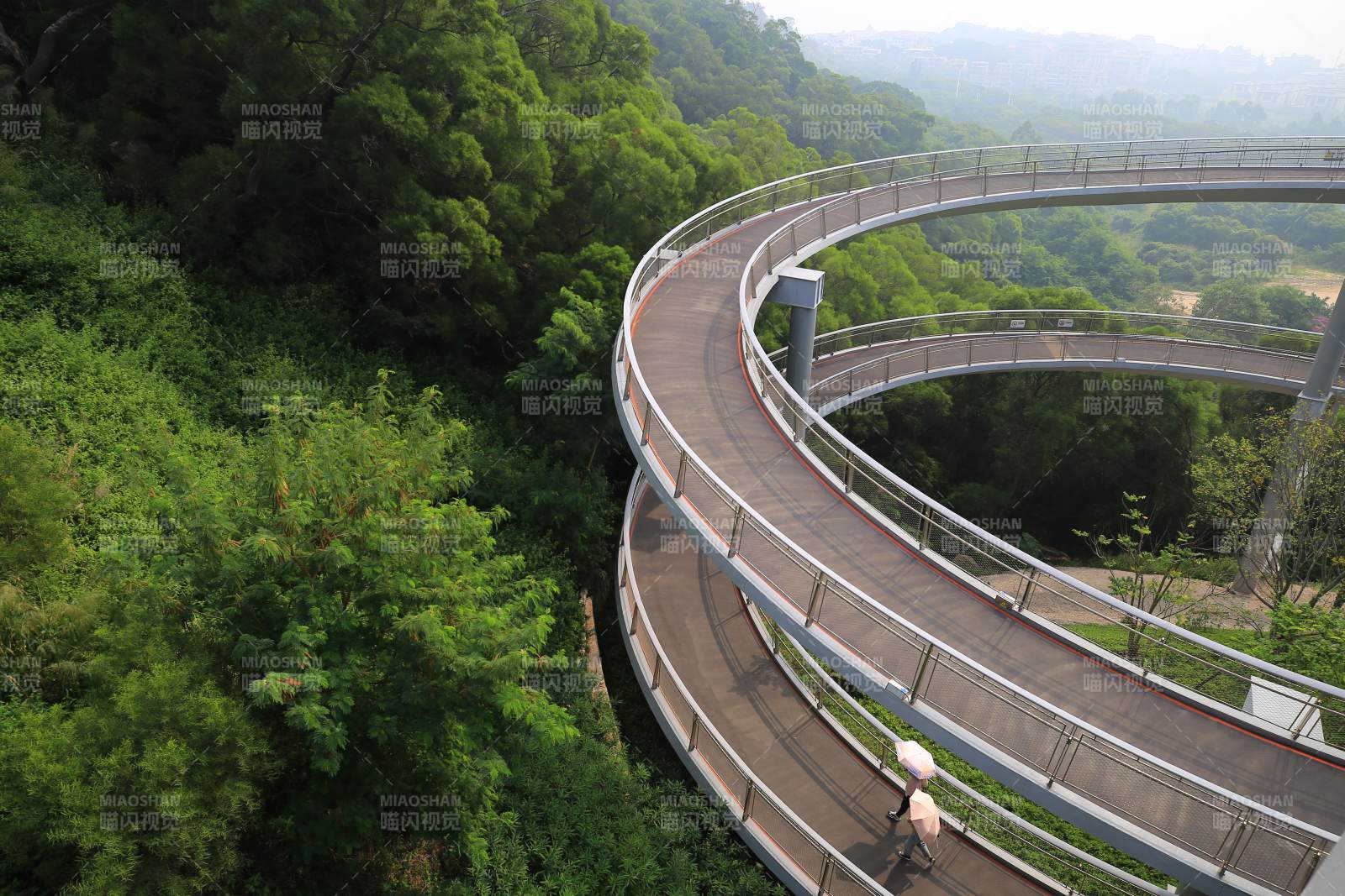 厦门市空中健康步道 绿意盎然林海线图片