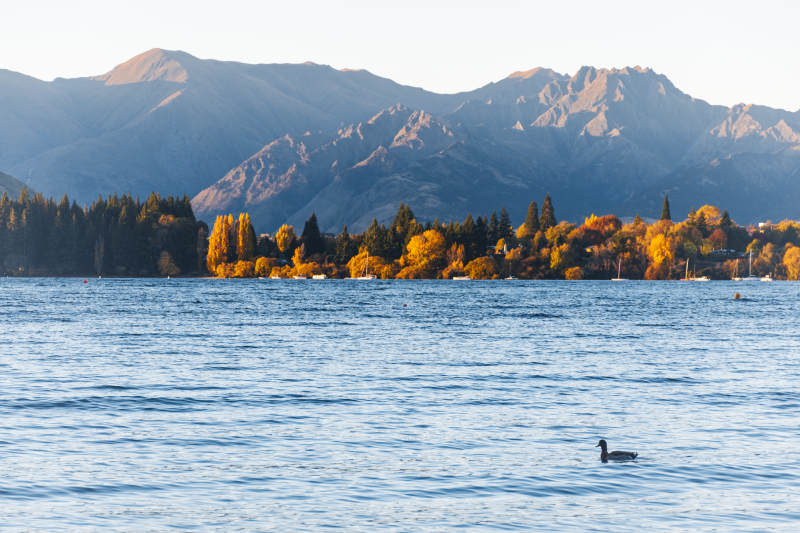 湖畔秋色 山影倒映图片