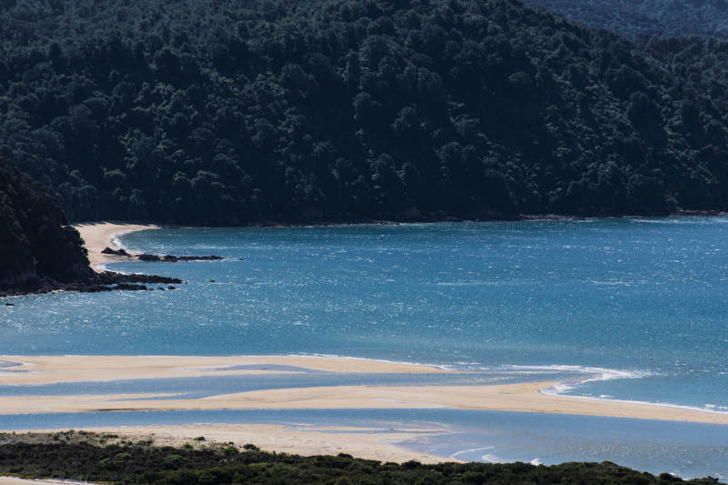海滨森林与碧蓝海水图片